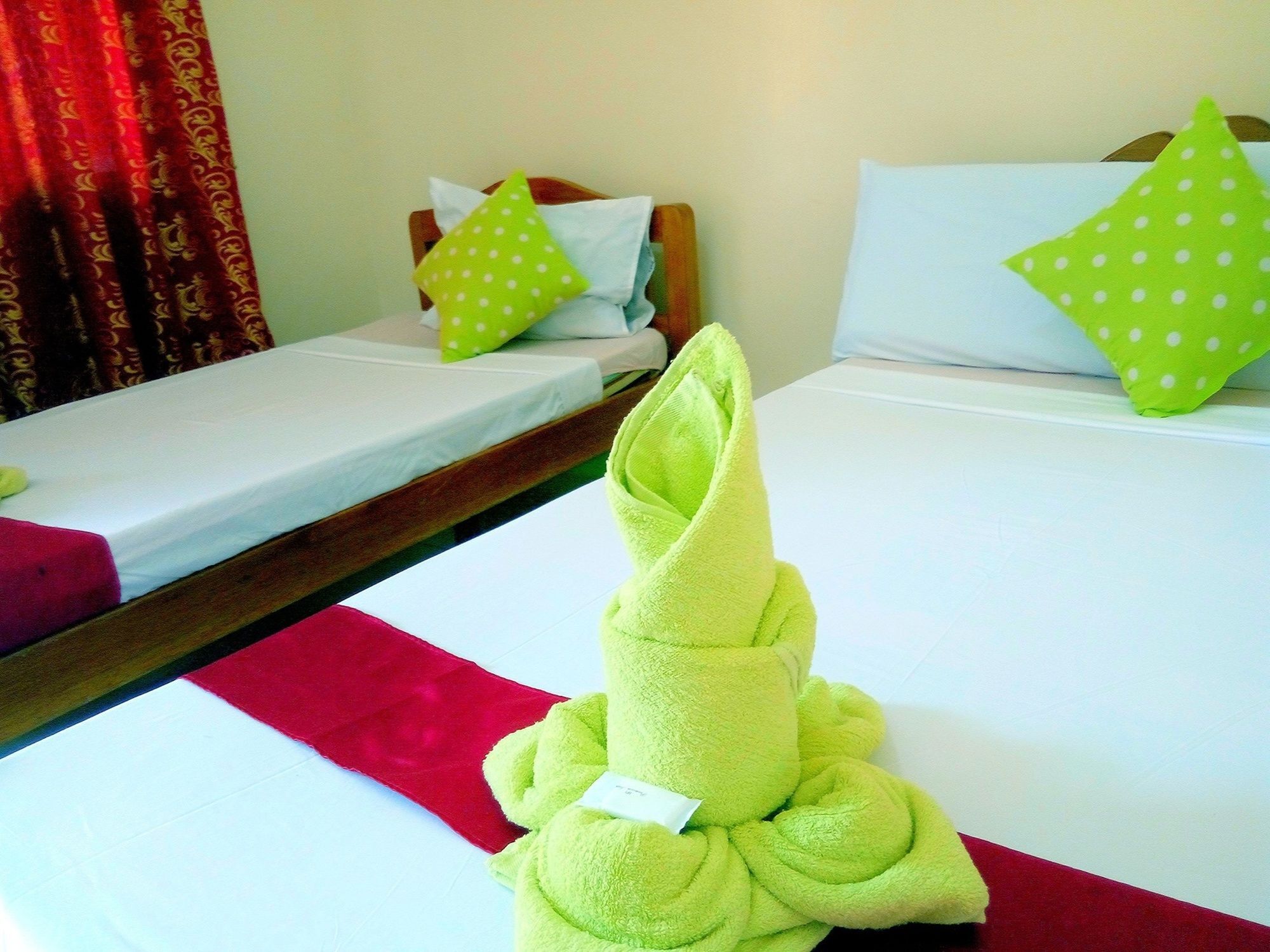 Green Park Tourist Inn Puerto Princesa Exteriér fotografie